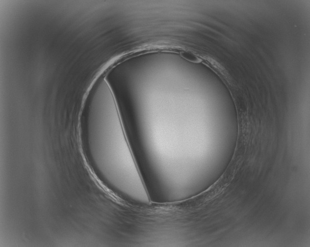 X0000054461134200507291014