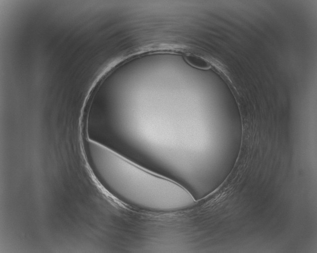 X0000054461135200507291014