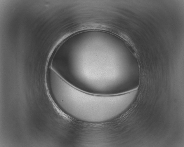X0000054461136200507291014