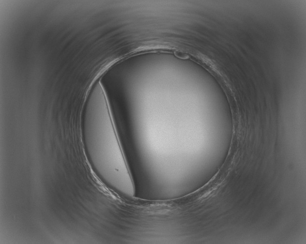 X0000054461137200507291014
