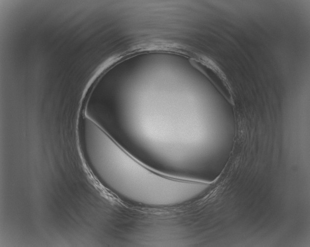 X0000054461138200507291014