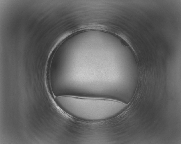 X0000054461139200507291014