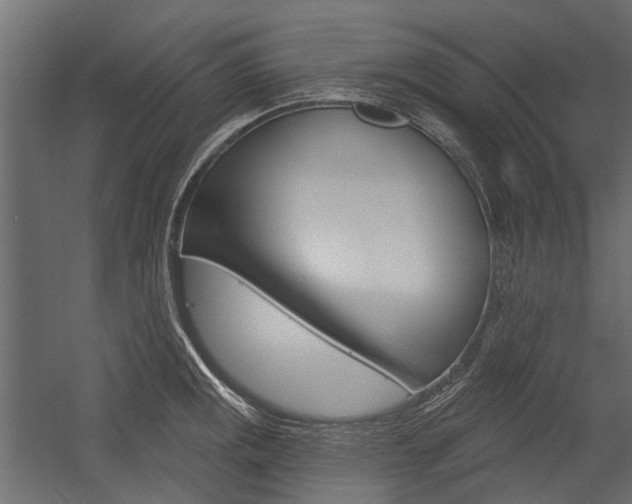X0000054461141200507291014