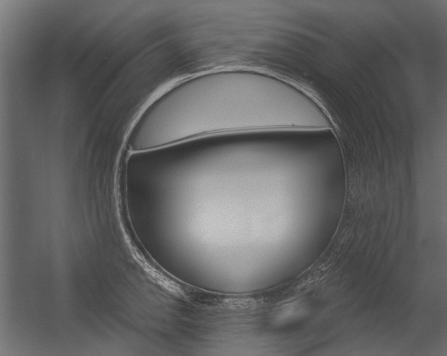 X0000054461142200507291014