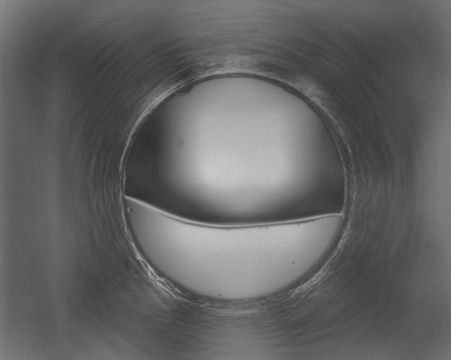 X0000054461145200507291014