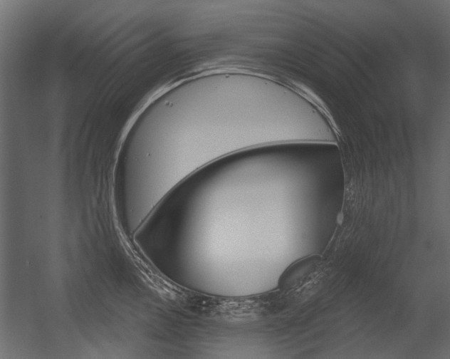 X0000054461146200507291014
