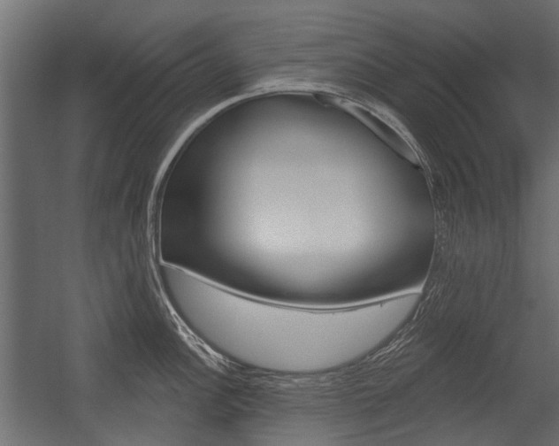 X0000054461148200507291014