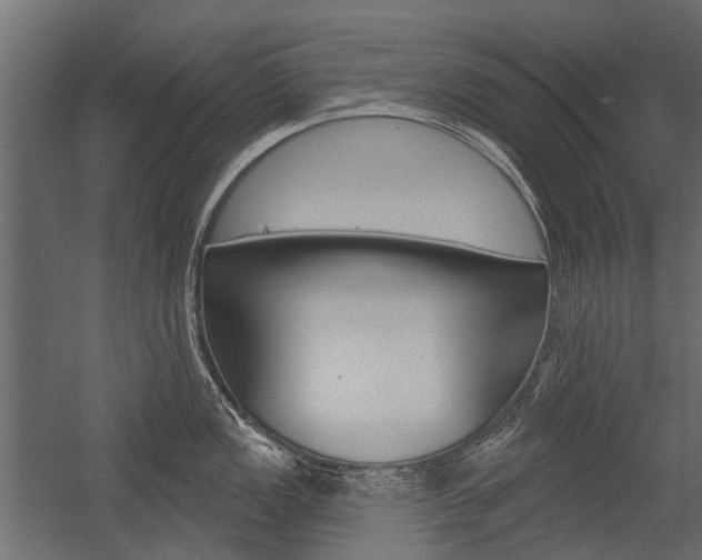 X0000054461149200507291014