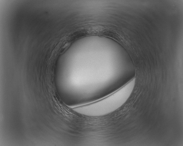 X0000054461153200507291014