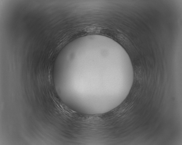 X0000054461154200507291014