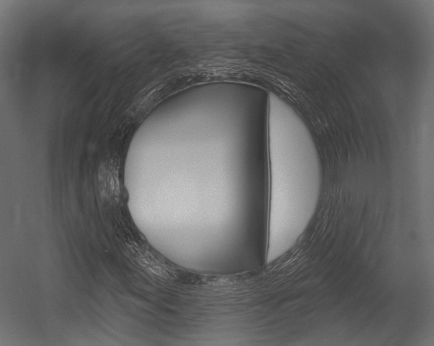 X0000054461155200507291014