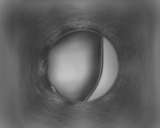 X0000054461156200507291014