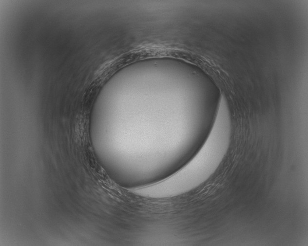 X0000054461157200507291014