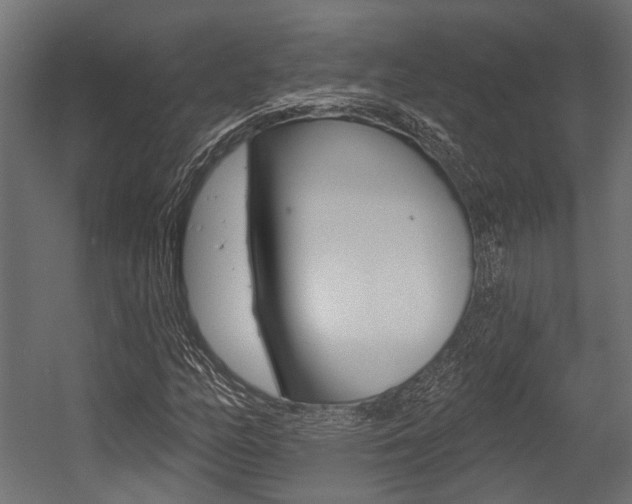 X0000054461158200507291014