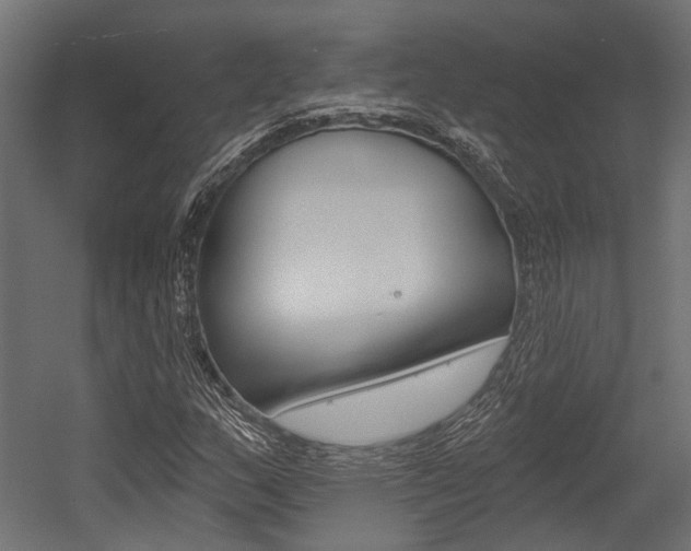 X0000054461159200507291014