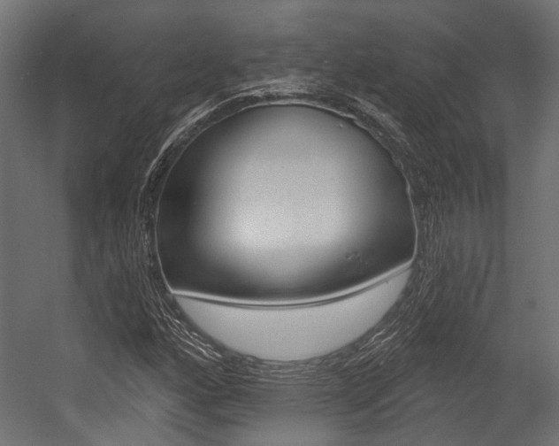 X0000054461160200507291014