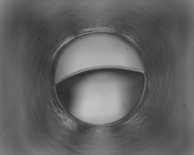 X0000054461163200507291014