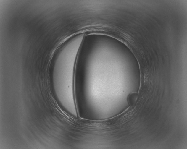 X0000054461164200507291014