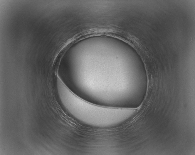 X0000054461165200507291014