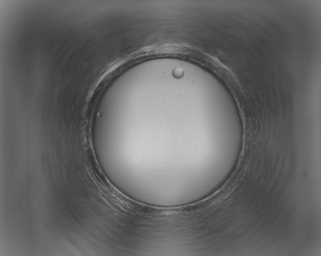 X0000054461166200507291014