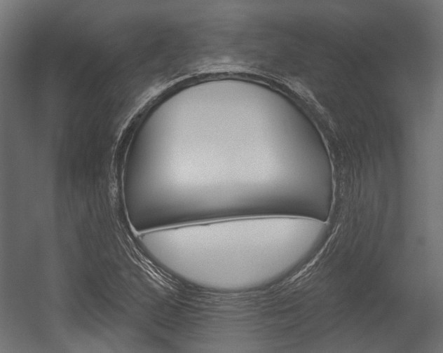 X0000054461167200507291013