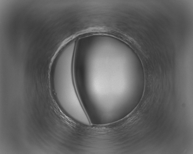 X0000054461168200507291013