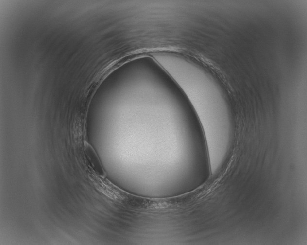 X0000054461169200507291013