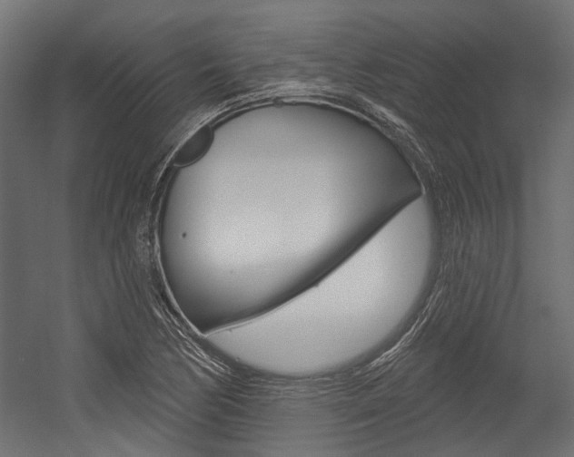 X0000054461170200507291013