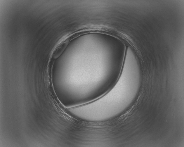 X0000054461172200507291013