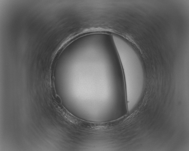 X0000054461173200507291013