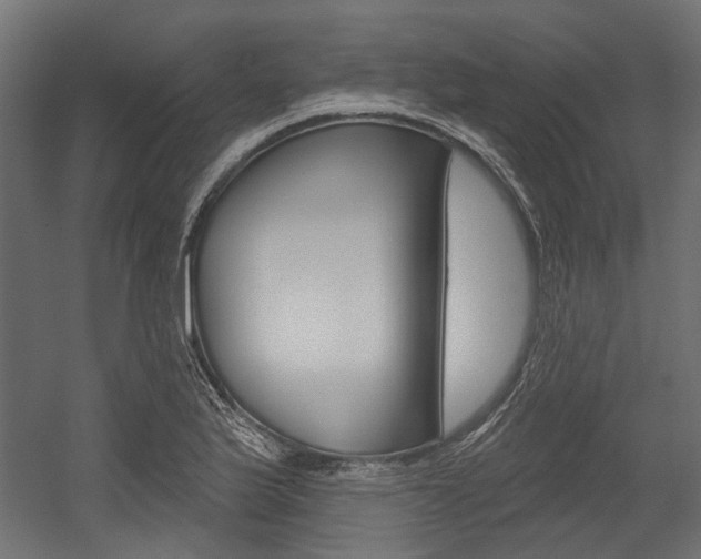 X0000054461175200507291013