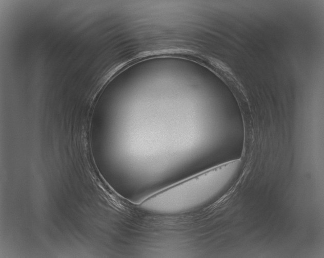 X0000054461177200507291013