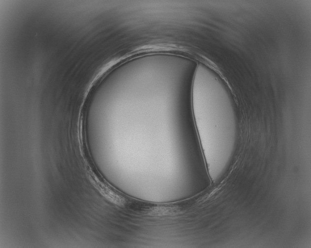 X0000054461179200507291013