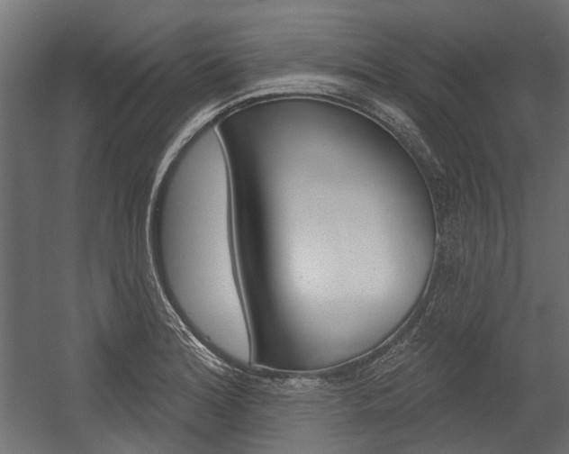 X0000054461180200507291013