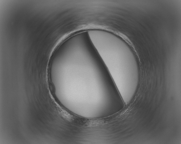 X0000054461183200507291013