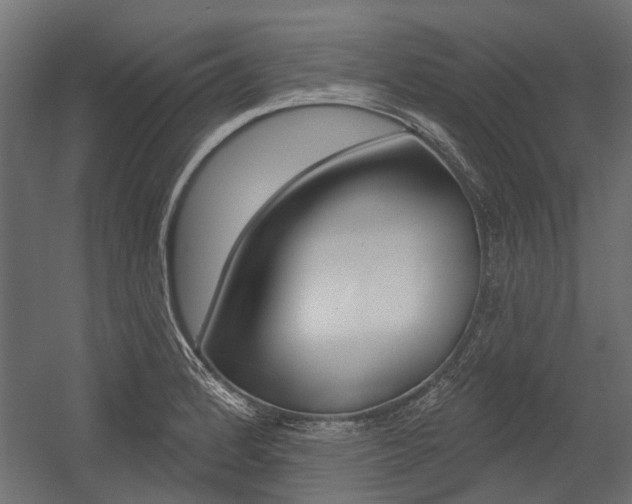 X0000054461184200507291013