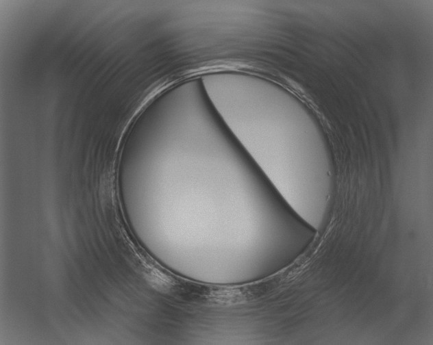 X0000054461186200507291013