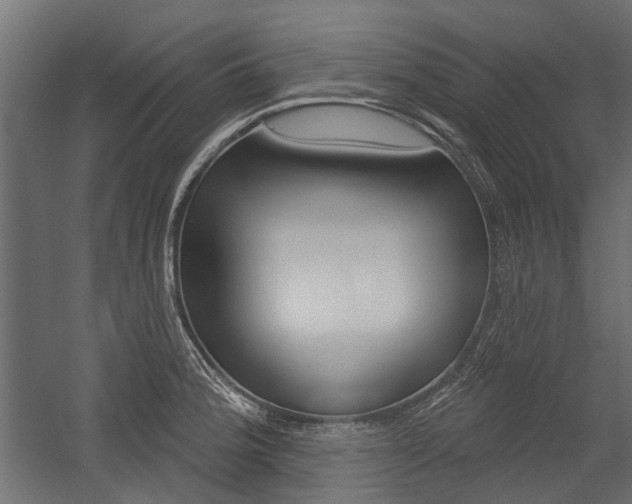 X0000054461188200507291013