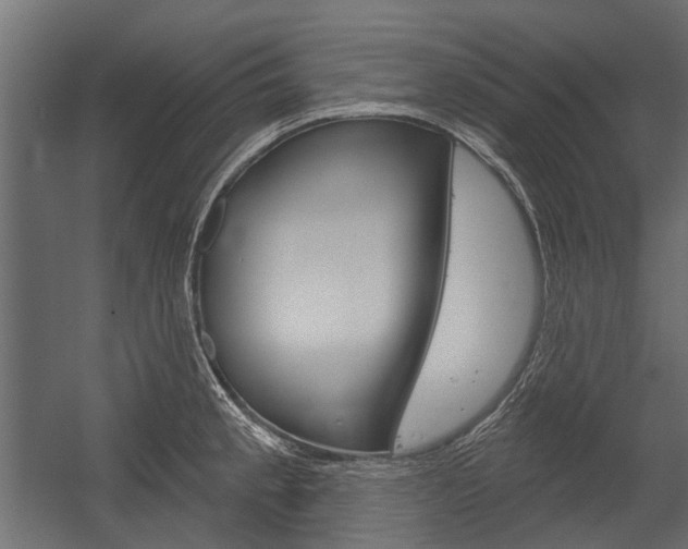 X0000054461189200507291013