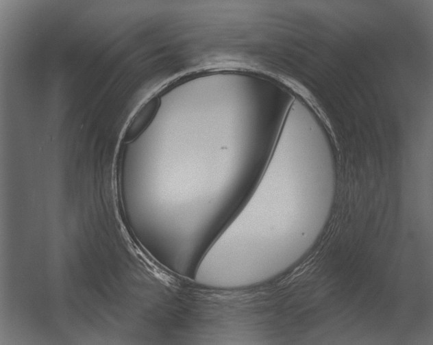 X0000054461191200507291013