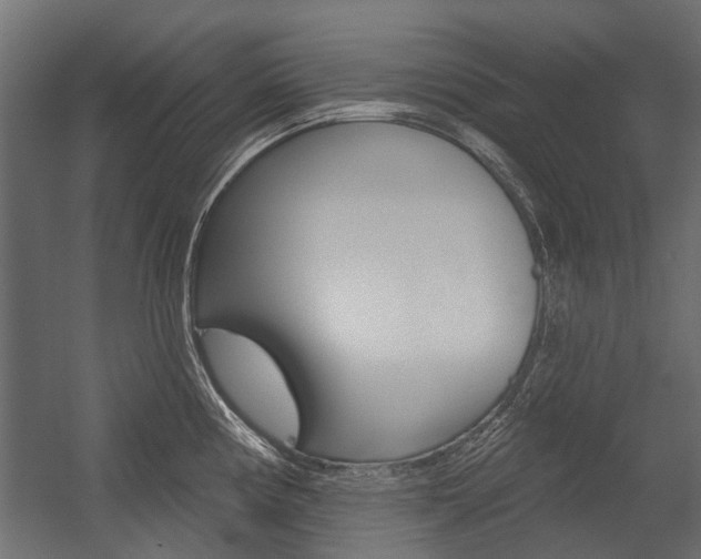 X0000054461194200507291013