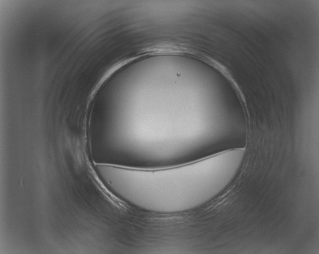 X0000054461195200507291013
