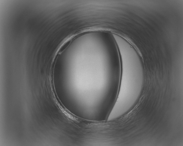 X0000054461197200507291013