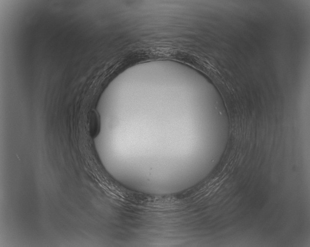 X0000054461201200507291012