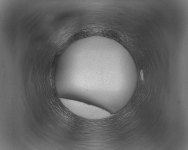 X0000054461203200507291012