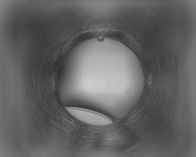 X0000054461204200507291012