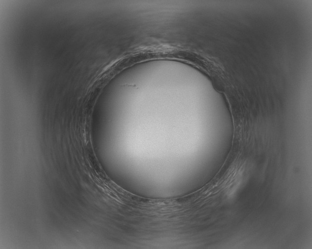 X0000054461205200507291012