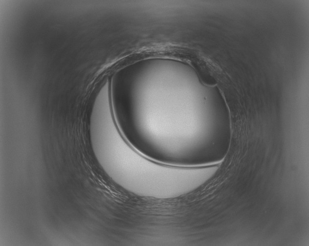 X0000054461206200507291012