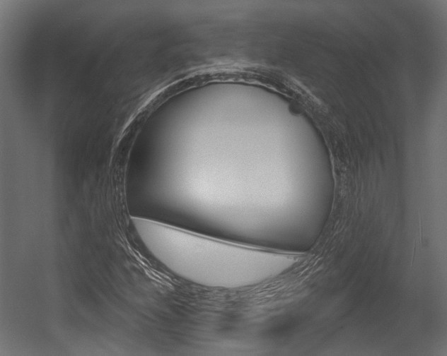 X0000054461208200507291012