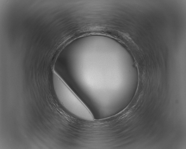 X0000054461209200507291012